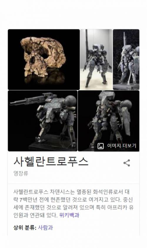 700만년 전 인류의 위엄.jpg