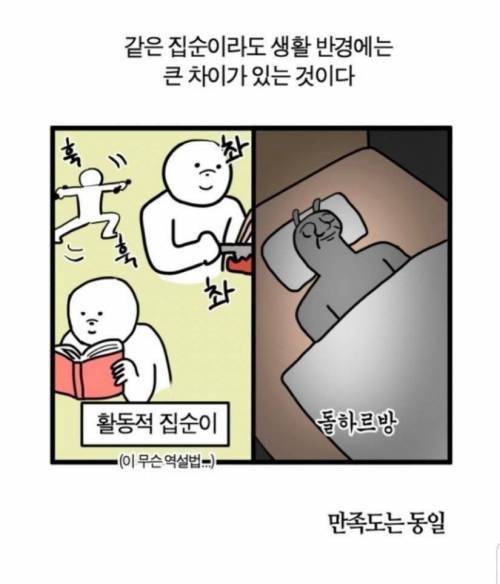 집돌이 집순이의 등급.jpg