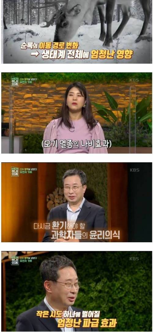 [스압] 모기를 멸종시키면 발생하는 상황.jpg