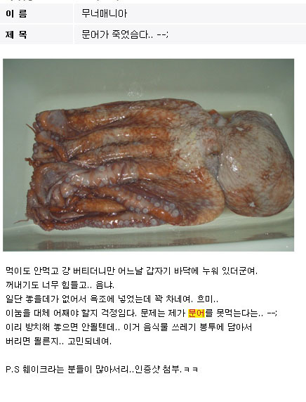 문어가 죽었슴다...jpg