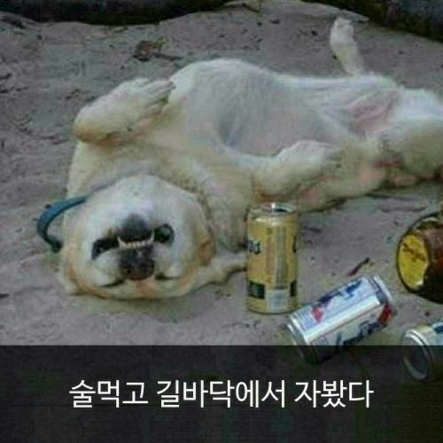 나도 이런적 있다?.jpg