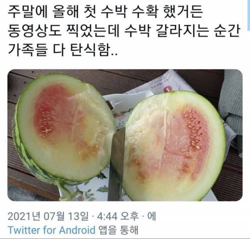 첫 수확의 기쁨....jpg