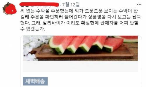 씨 없는 수박 주문한 사람.jpg