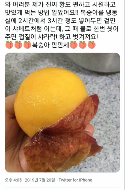 황도 편하고 시원하고 맛있게 먹는 방법.jpg