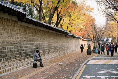 덕수궁 돌담길과 커플, 서울시립미술관의 상관관계