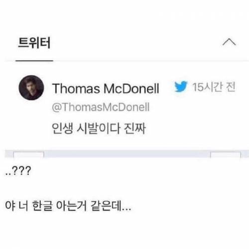 한국말 기여워.jpg