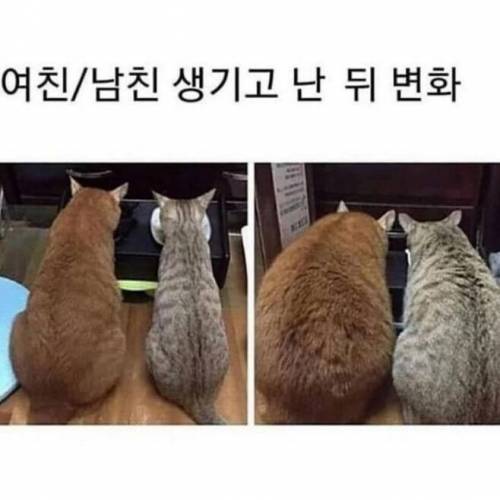 애인 생긴뒤 몸 변화.jpg