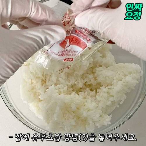 댕댕초밥...jpg