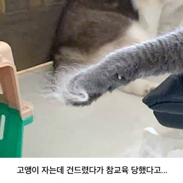 허숙희가 구석탱이에 있는 이유.jpg