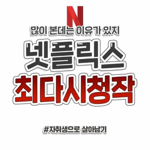 넷플릭스 최다시청작