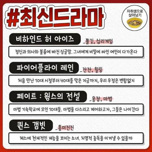 넷플릭스 최다시청작