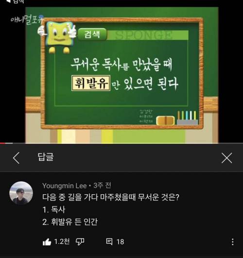 길에서 독사를 만났을 때 대처법