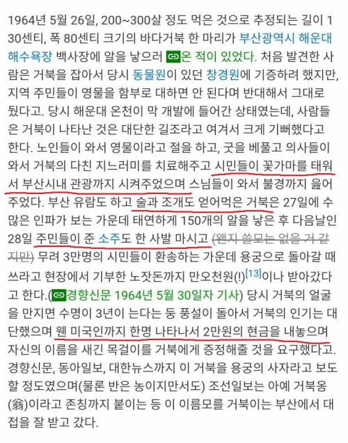 부산에 나타난 200살 넘은 거북이가 받은 대접.jpg