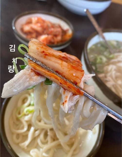 [스압] 칼국수에 존나 진심인 배우의 칼국수 맛집 정보 모음.jpg