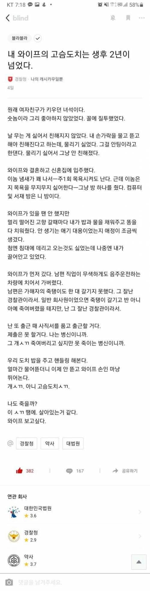 아내가 키우던 생후 2년 된 고슴도치.jpg