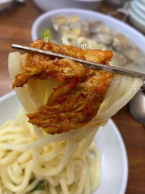 [스압] 칼국수에 존나 진심인 배우의 칼국수 맛집 정보 모음.jpg