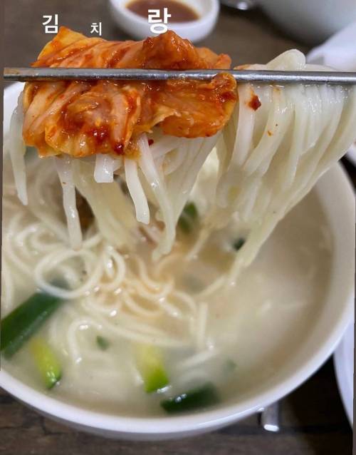 [스압] 칼국수에 존나 진심인 배우의 칼국수 맛집 정보 모음.jpg