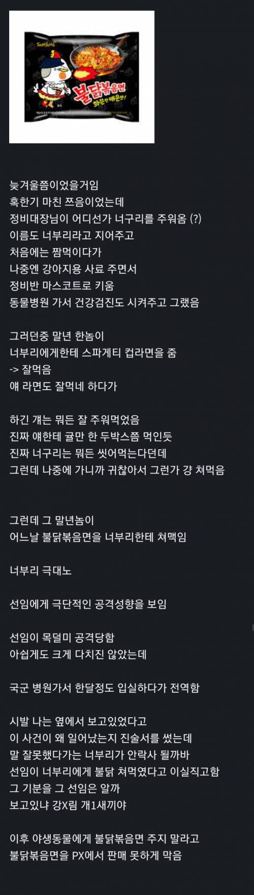 군대에서 너구리한테 목덜미 물린 선임 썰