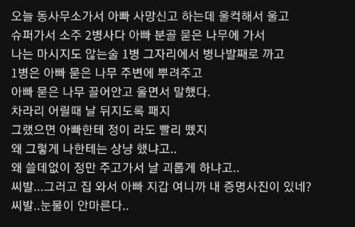 아버지를 떠나보낸 디씨인 썰