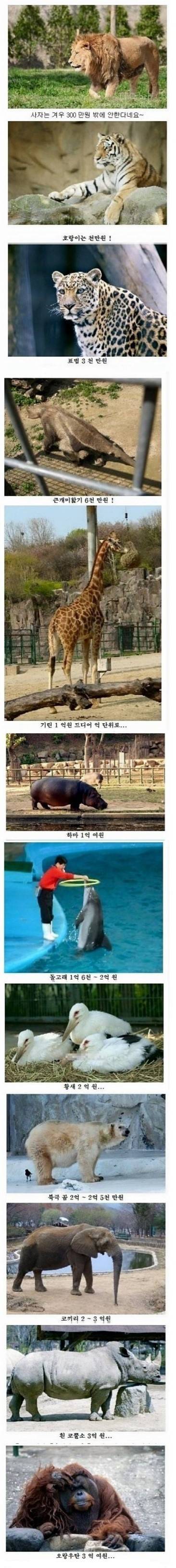 [스압] 동물원 동물들 가격.jpg