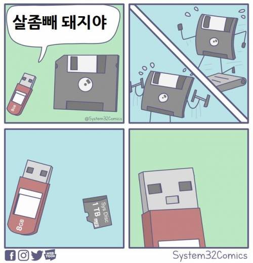 살좀빼 돼지야.jpg