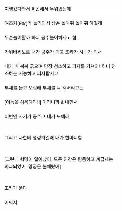 9살 여조카랑 놀아주는 모자라지만 착한삼촌