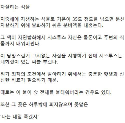 대를 잇기 위해 주변에 엄청 피해를 주면서 자살하는 식물