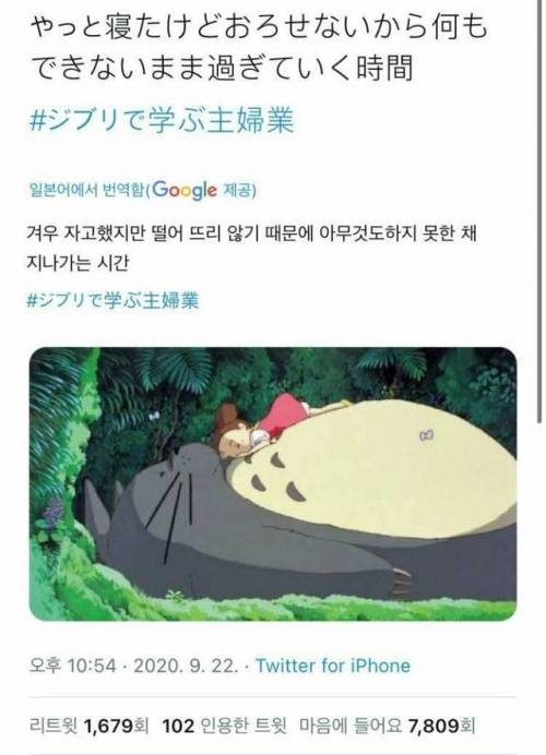 [스압] 일본주부들의 지브리 밈.jpg