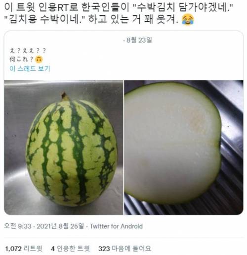 한국인 : 이걸로 김치 담궈야지