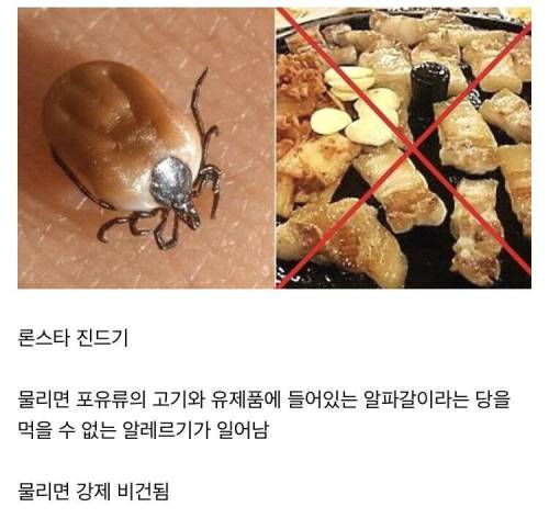 지구에서 제일 ㅈ같은 진드기