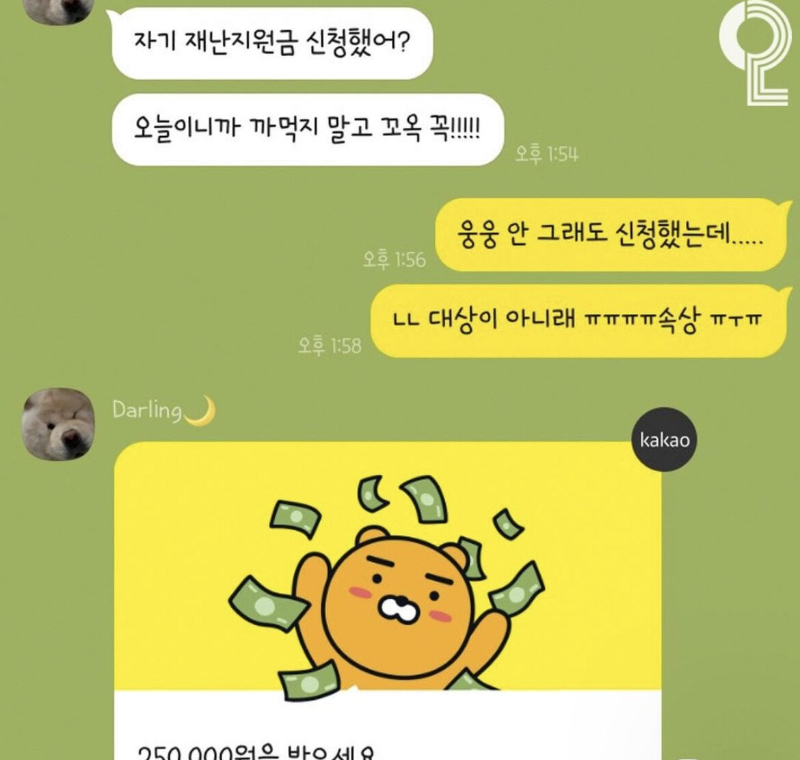 재난지원금 스윗남.jpg