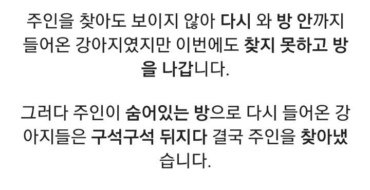 강아지와 숨바꼭질 놀이를 하면 주인을 찾지 못하는 이유.jpg