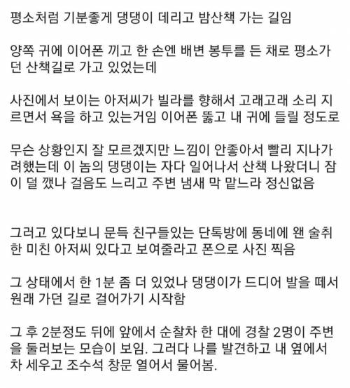 댕댕이 산책시키다 칼 맞을 뻔.jpg