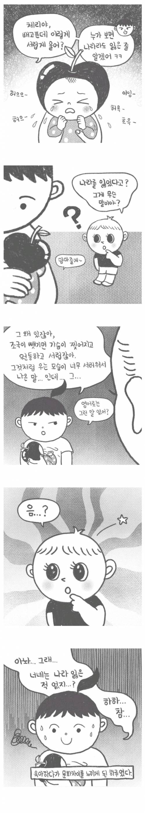 나라 잃은 표정이란 말을 이해 못하는 미국인