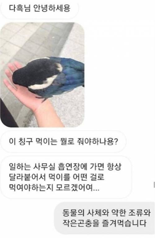 [스압] 아는게 많은 유투버.jpg