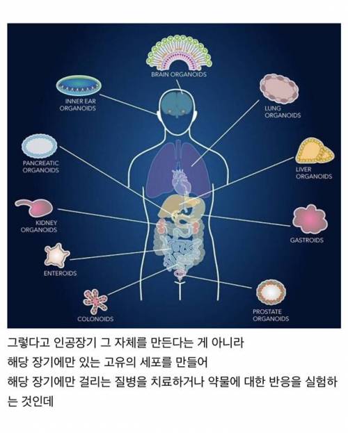 "인공뇌" 에서 스스로 "눈"이 자라나버린 생물학계 놀라운 사건.jpg