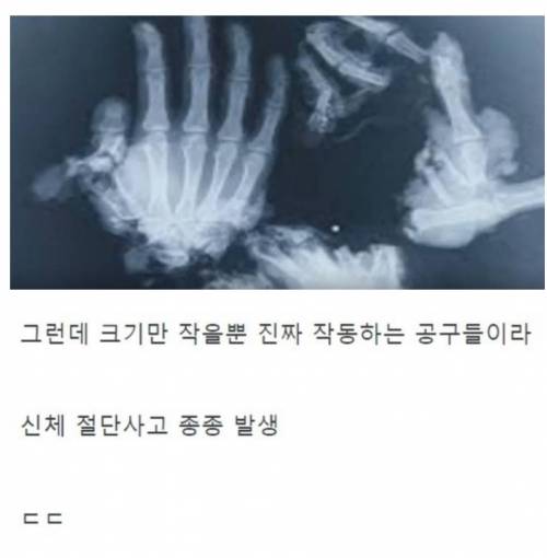 20세기 상남자들의 장난감.jpg