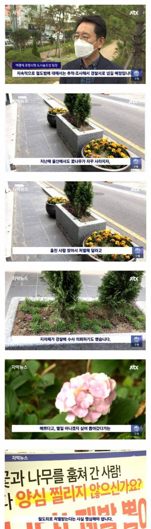 [스압] 꽃과 나무를 훔쳐가는 사람들.jpg