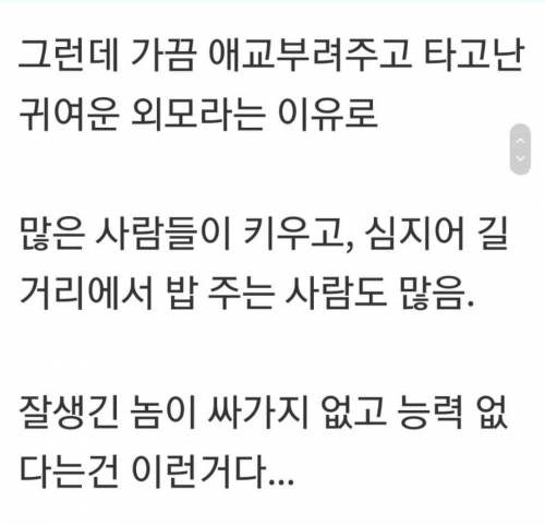 여자들이 때리는 남자보다 못생긴 남자를 더 싫어하는 이유.jpg