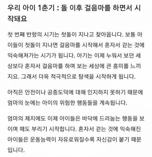 애키울때 찾아온다는 고난 4단계