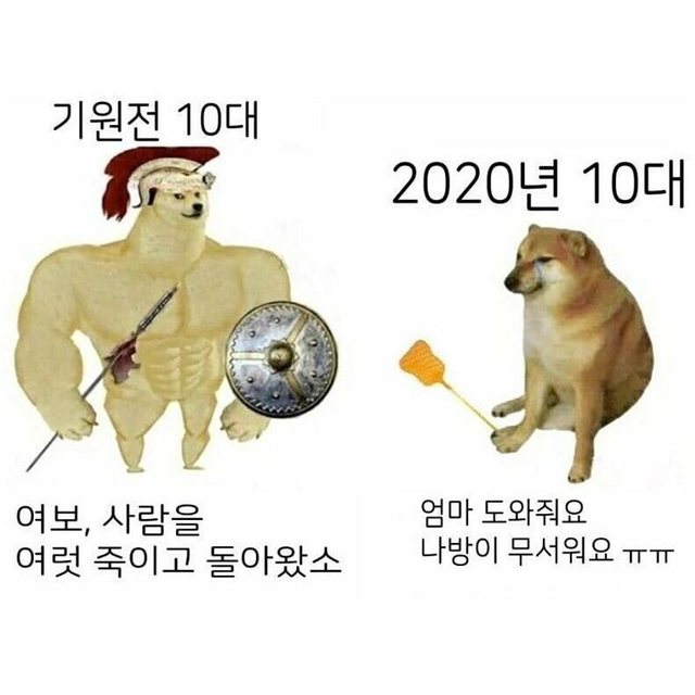 고3이 위험한 나이인 이유.jpg