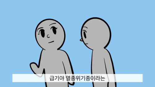 [스압] 요즘 일본엔 많이 없다는 갸루