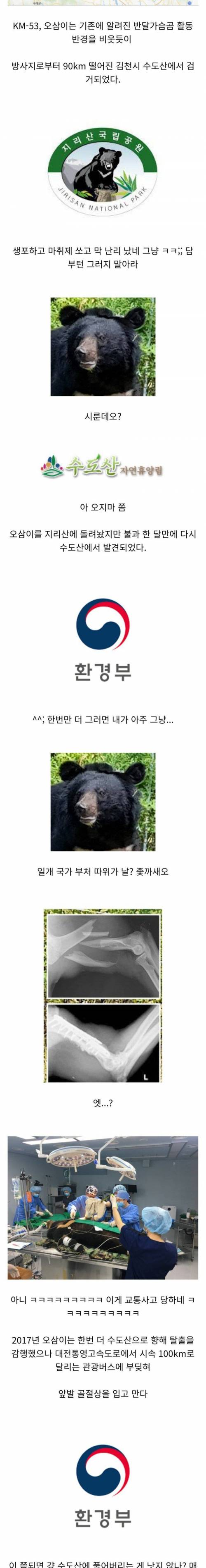 [스압] 역대급 민폐 반달곰 개체 근황.jpg