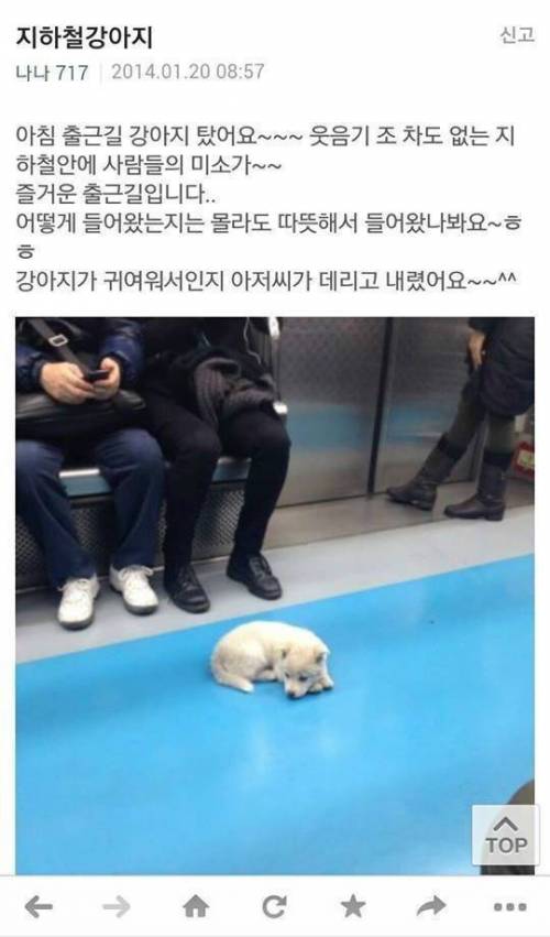 겨울철 무임승차객.jpg