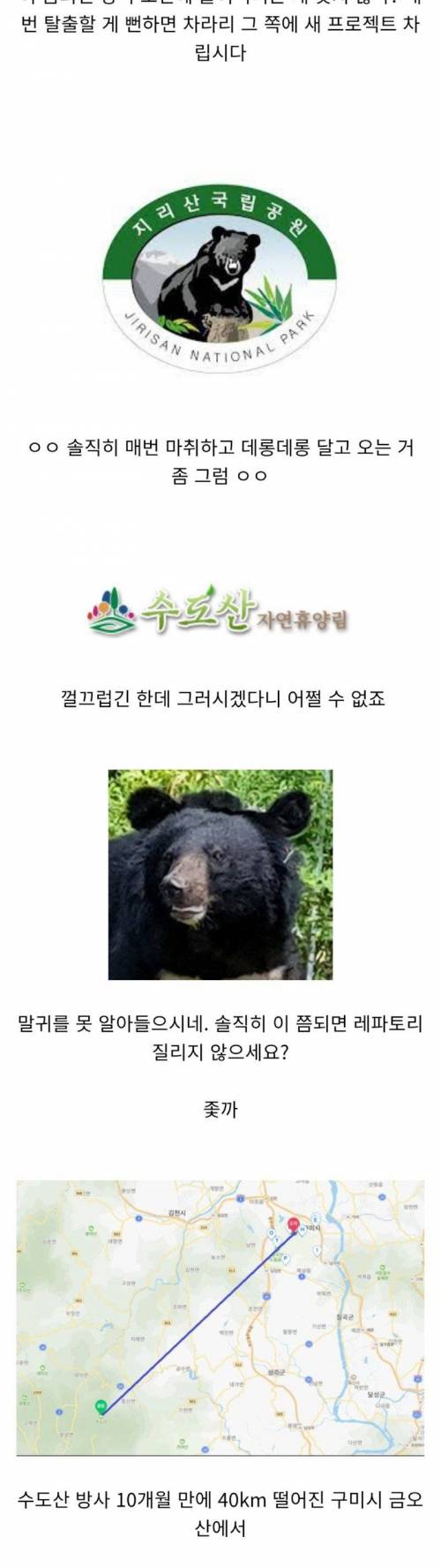 [스압] 역대급 민폐 반달곰 개체 근황.jpg