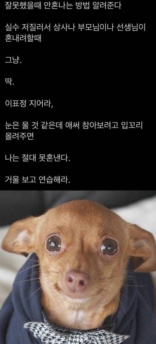 잘못했을 때 안혼나는 방법 알려준다