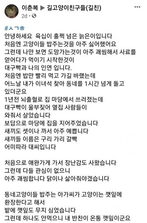 자기를 피하는 고양이가 괘씸했던 60대 .jpg