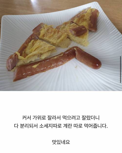 [스압] 소세지 속에 계란넣기! 실패 없이 만들기