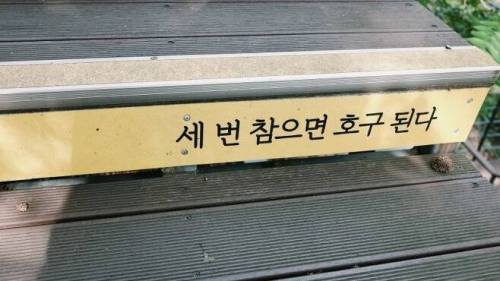 산책하다 발견한 명언