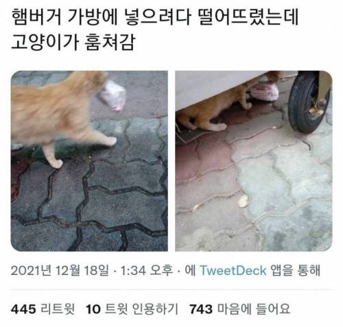 버거를 가방에 넣으려다 떨어뜨렸는데...